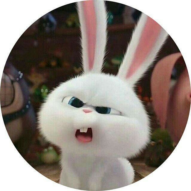 cartoon dp for whatsapp girl