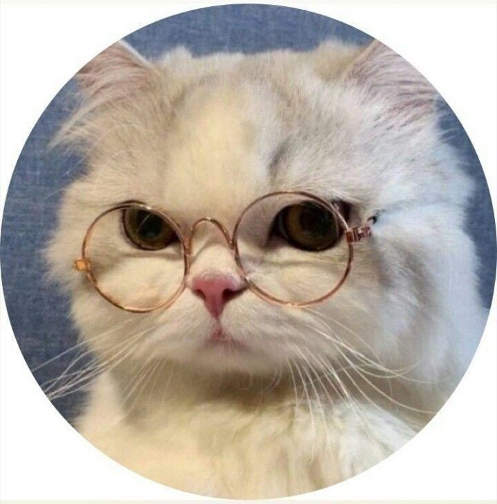 cute dp for instagram girl