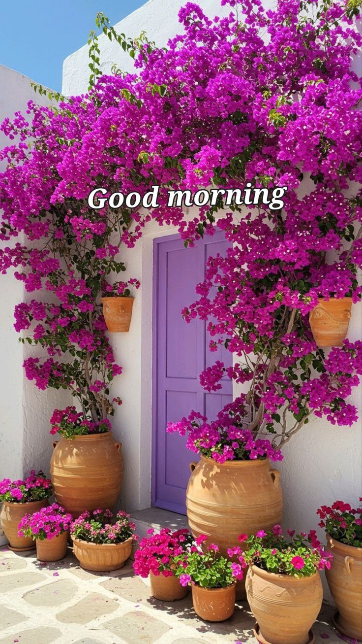 good morning images aesthetic