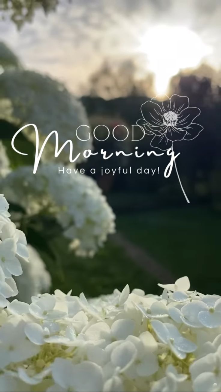 good morning images and wishes