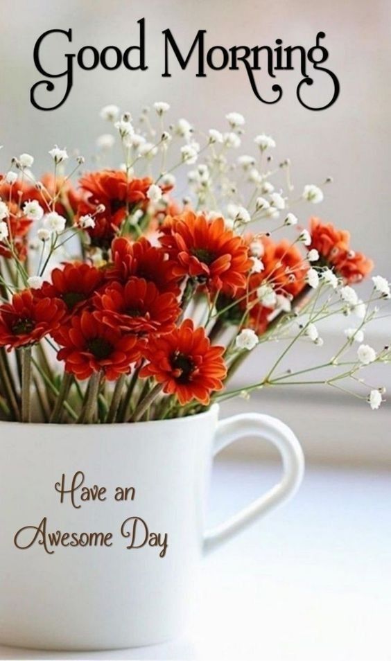 good morning images app