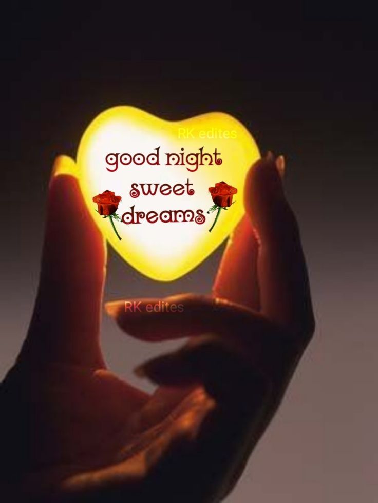 good night images animals