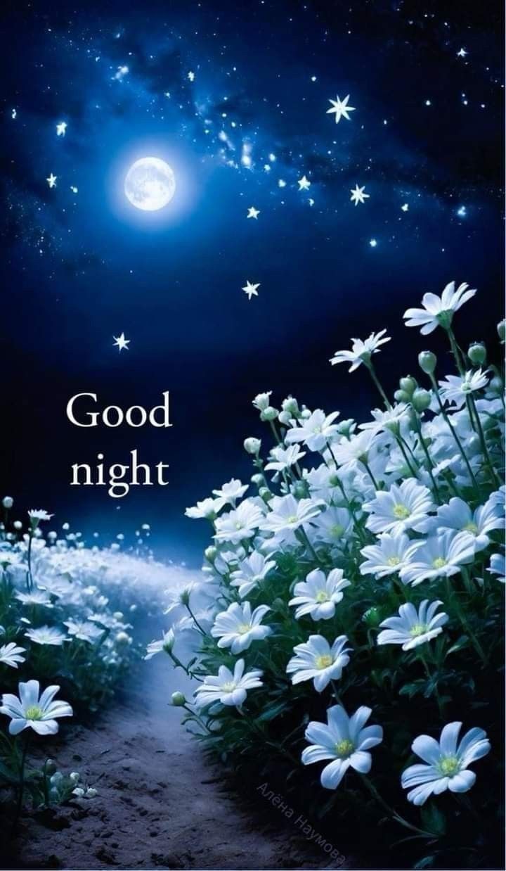 good night images assamese