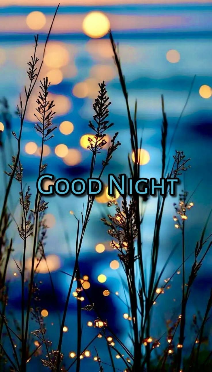 good night images assamese