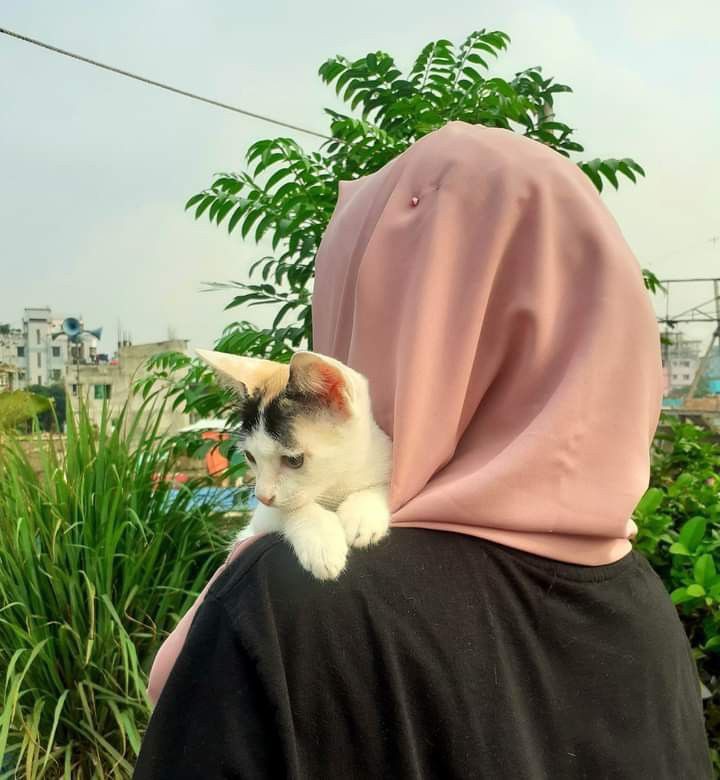 hidden face stylish instagram hijab dp