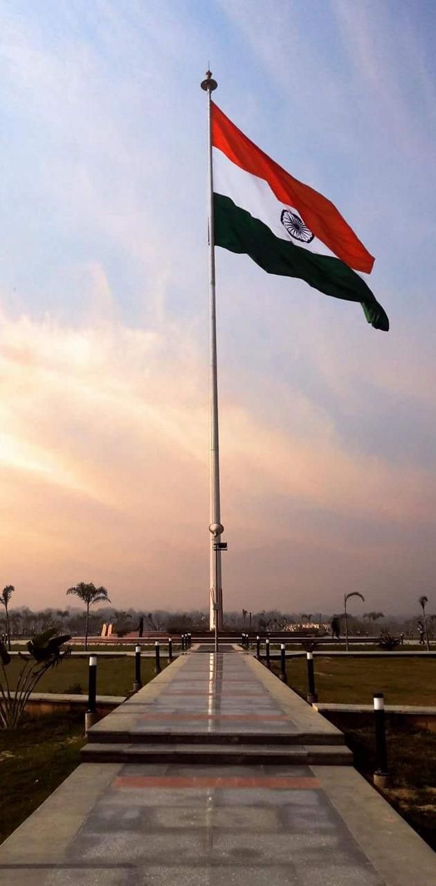 indian flag dp ai