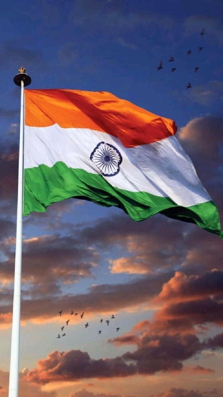 indian flag dp boy attitude
