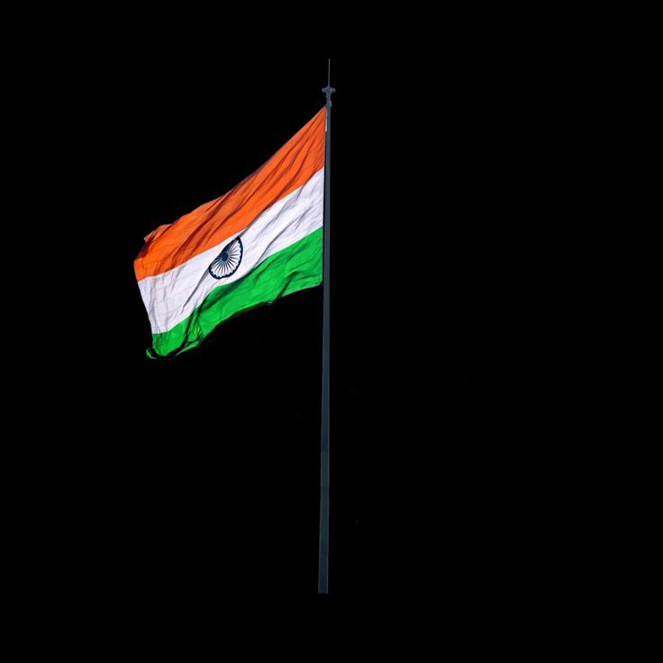 indian flag dp girl attitude for whatsapp
