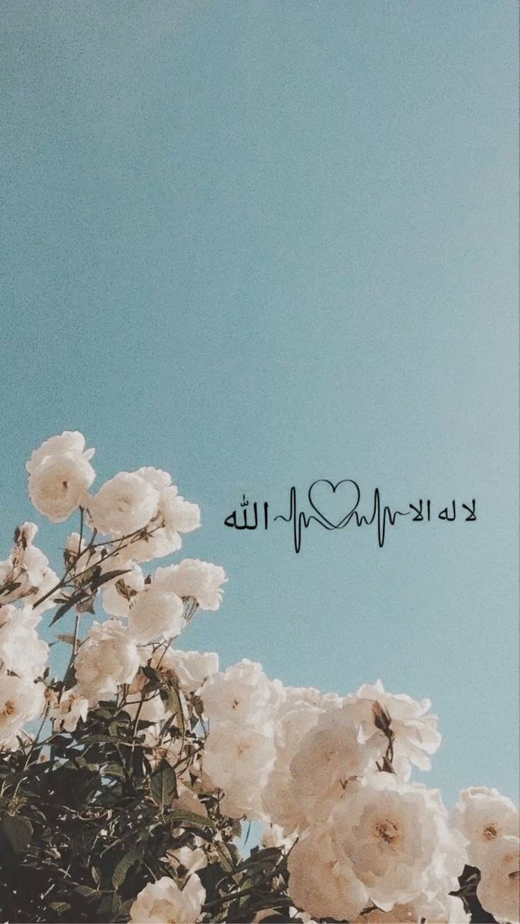 islamic dp girl hijab