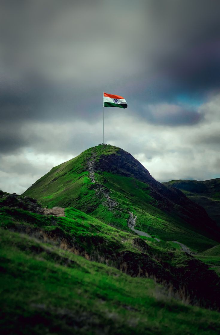 tiranga dp
