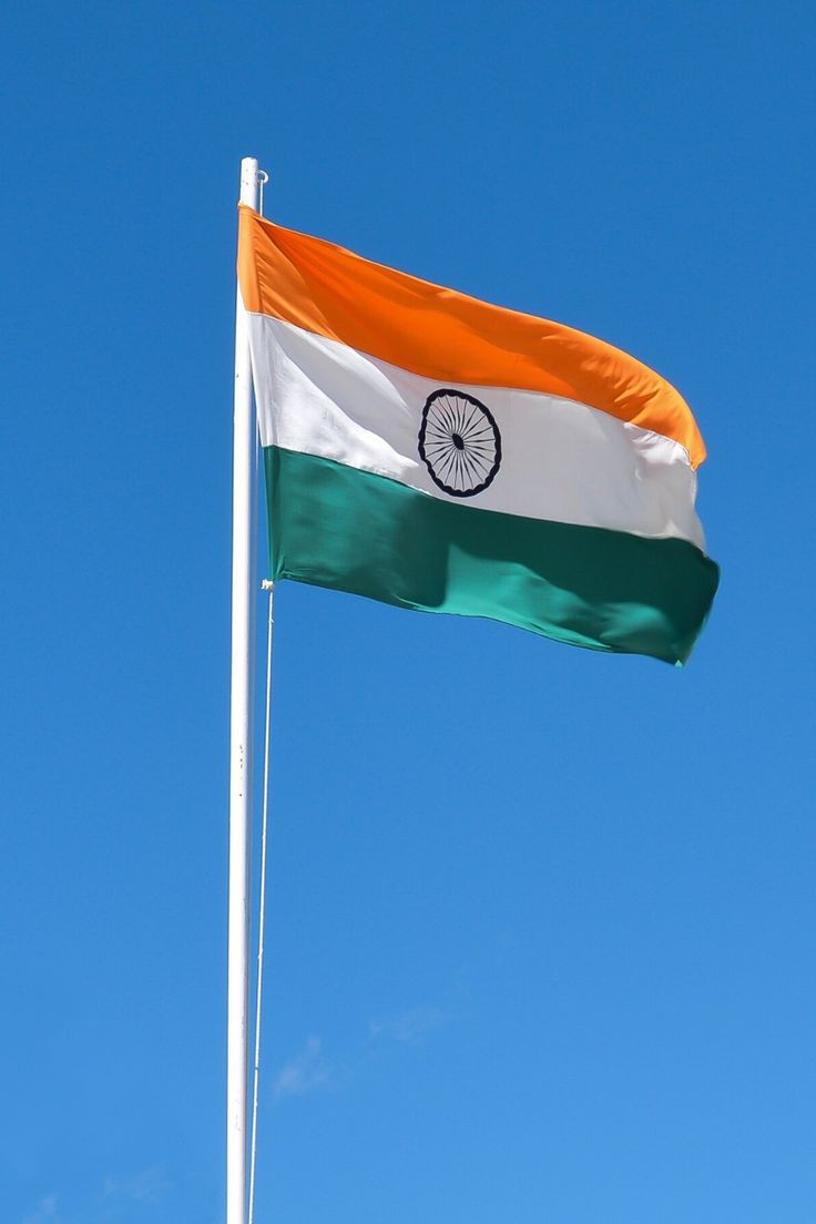 tiranga dp download