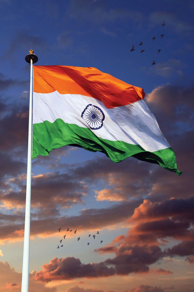 tiranga dp hd 4k