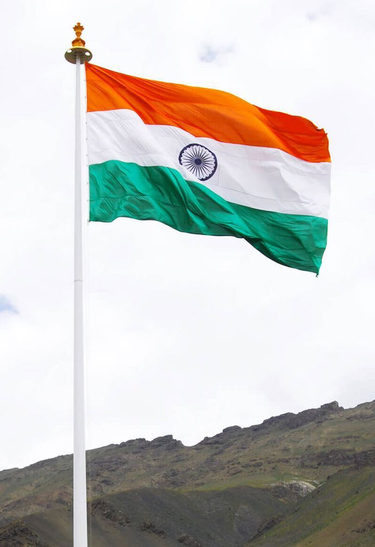 tiranga dp new