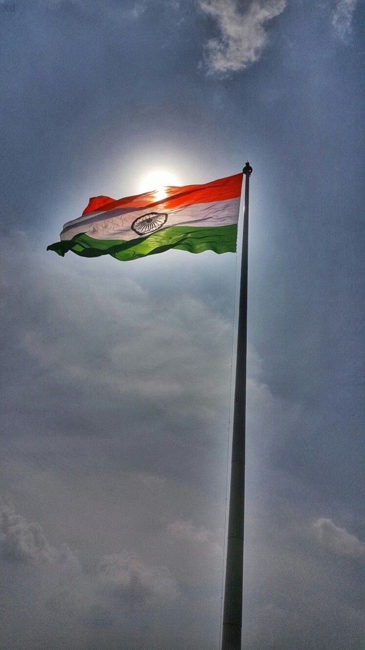 tiranga dp new
