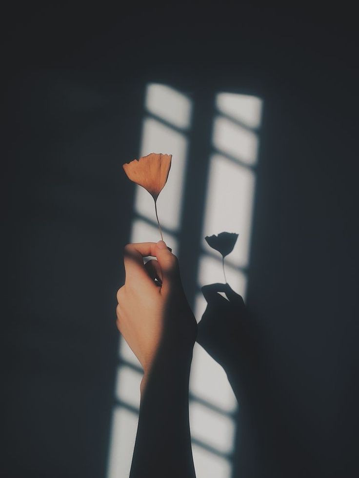 aesthetic dp for instagram for girl simple