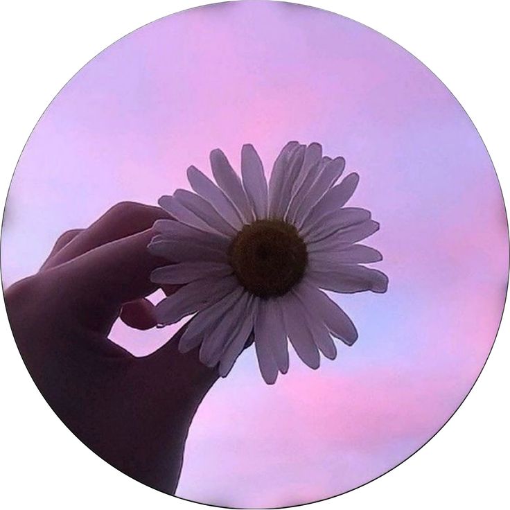 facebook dp for boys