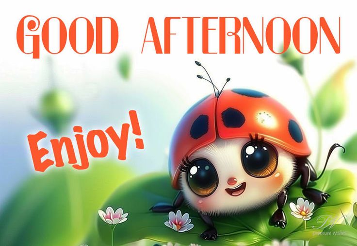 good afternoon images african american