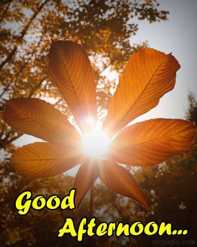 good afternoon images ai