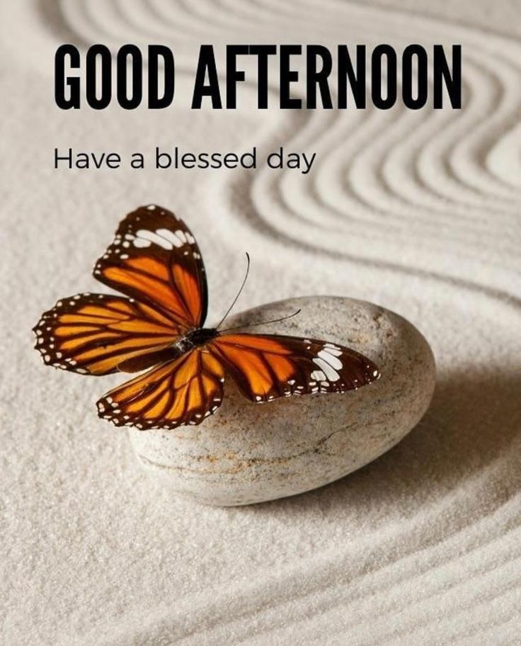 good afternoon images ai