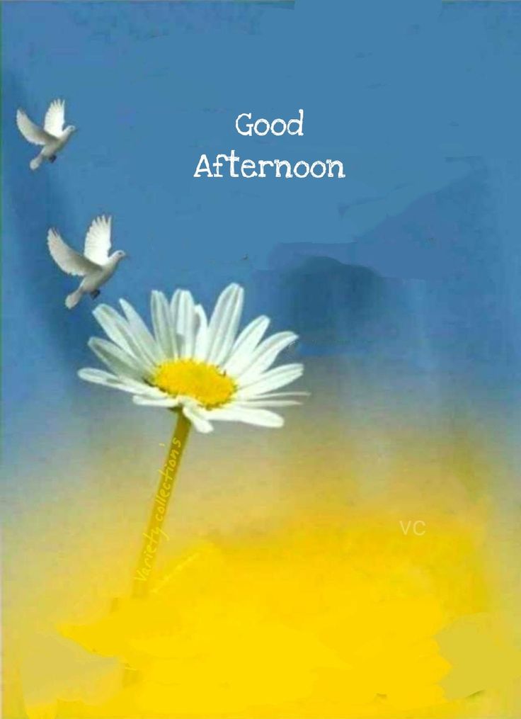 good afternoon images and messages