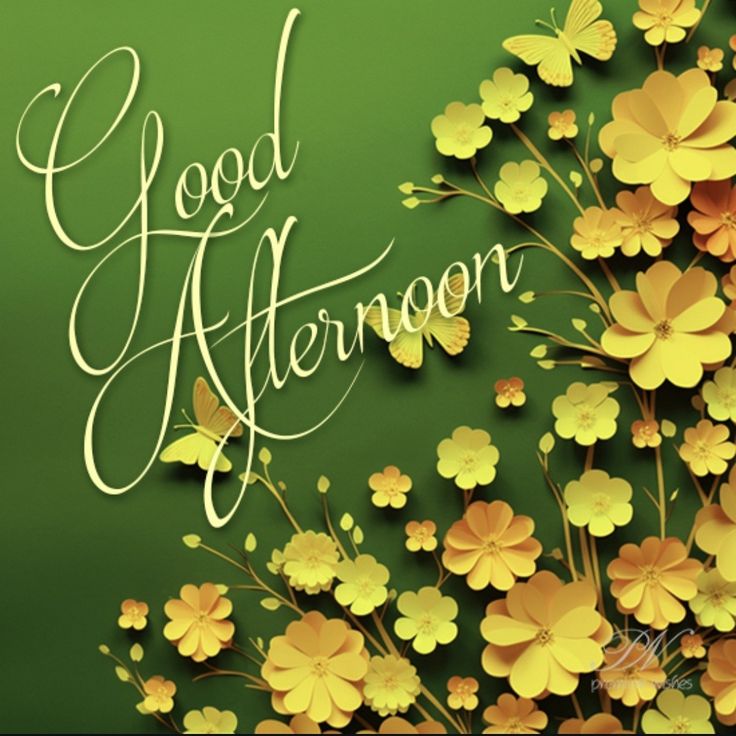 good afternoon images and quotes in hindi