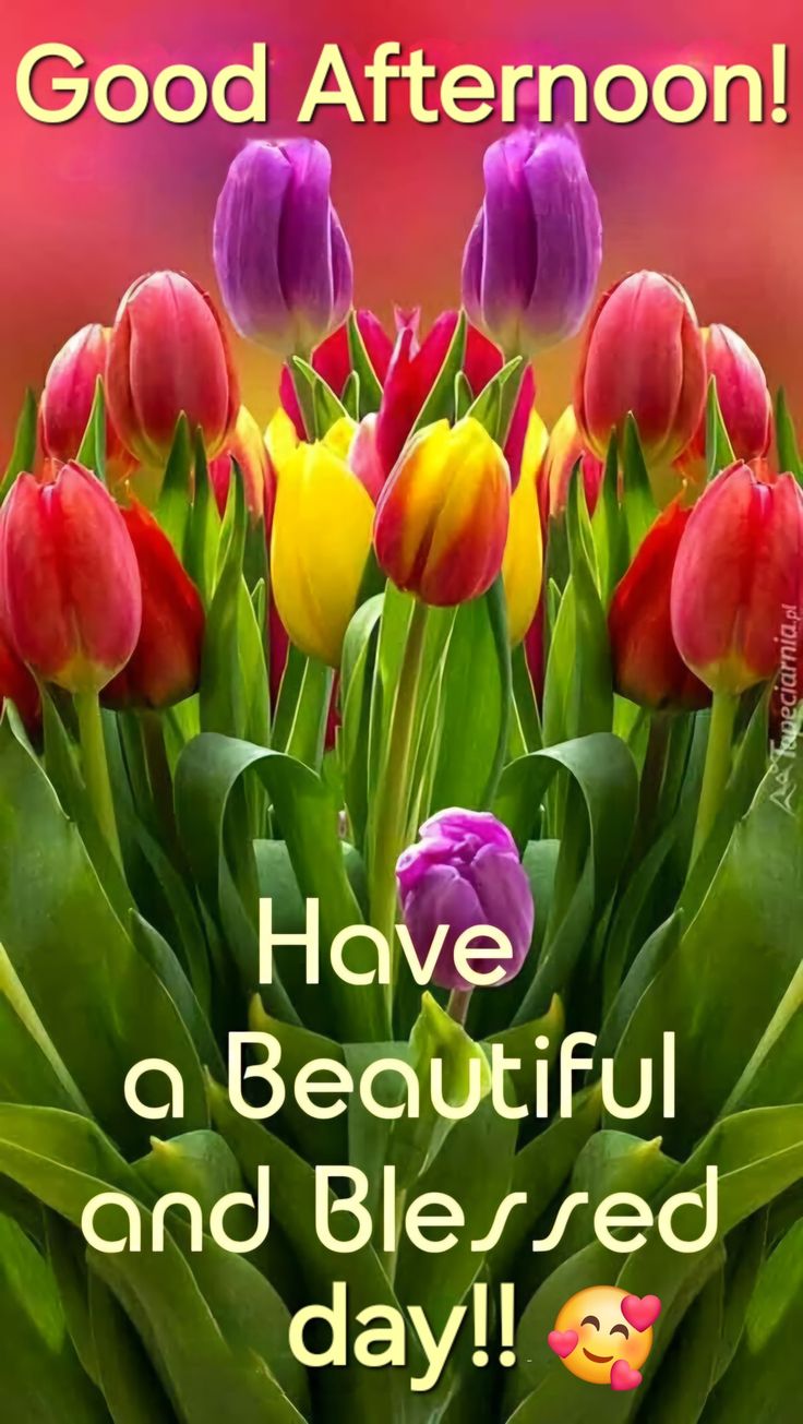 good afternoon images and quotes in hindi