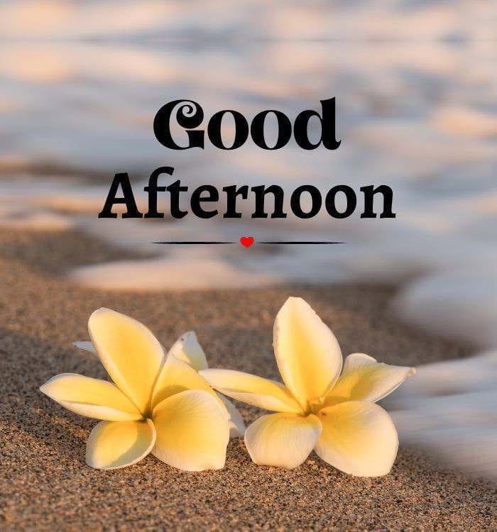 good afternoon images and quotes in hindi