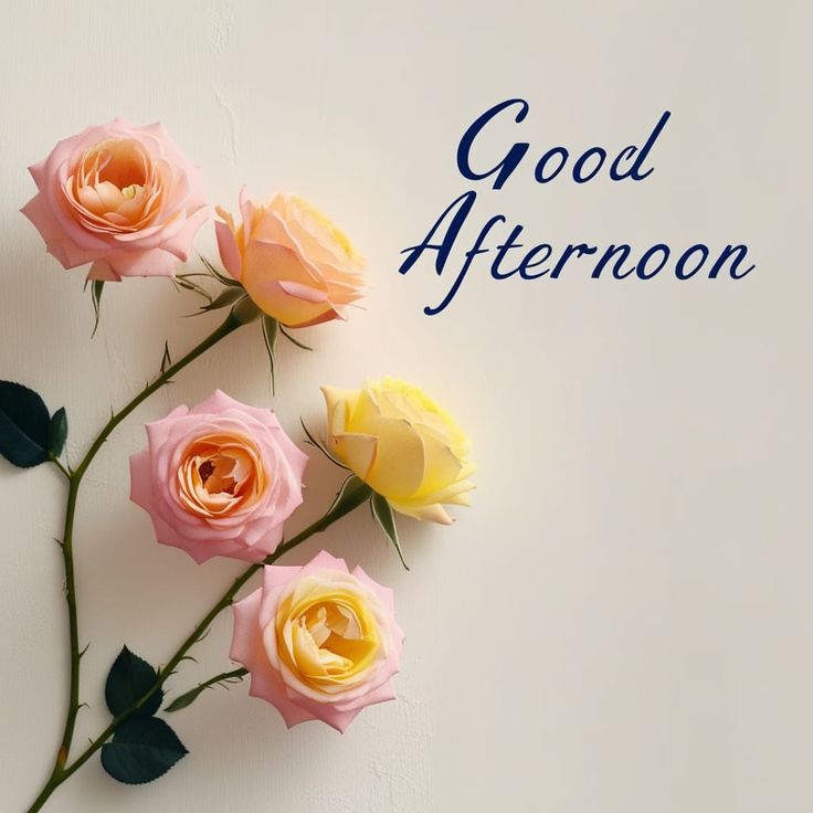 good afternoon images and wishes