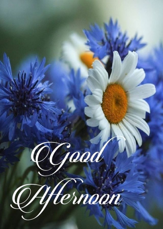 good afternoon images assamese