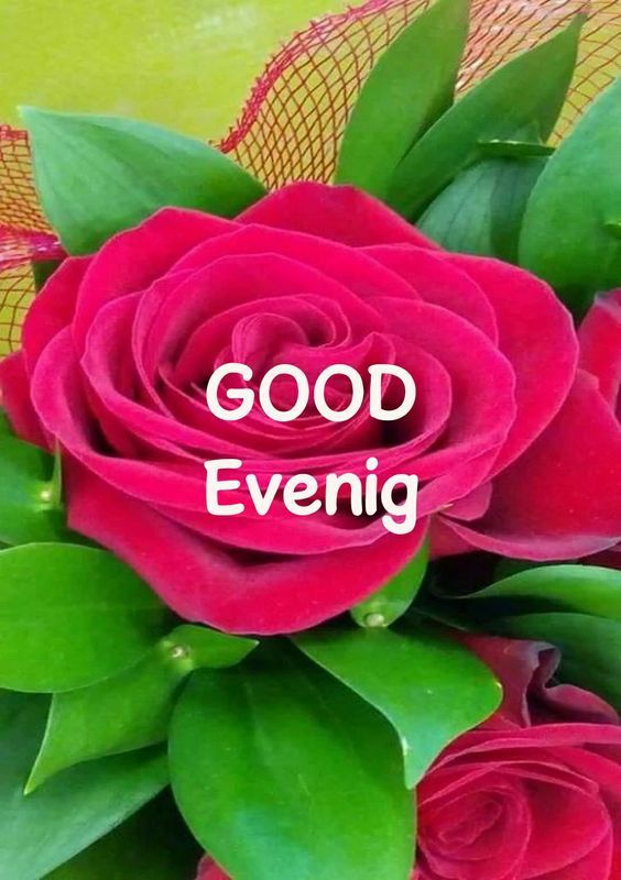 good evening images and messages