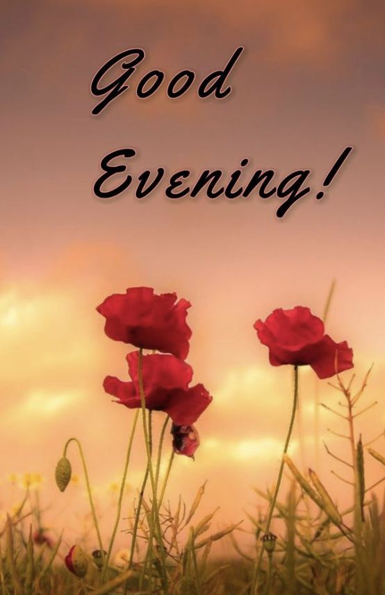 good evening images and quotes for whatsapp