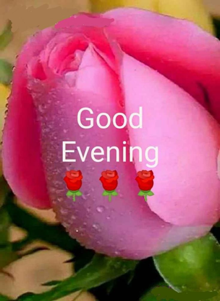 good evening images and wishes in hindi