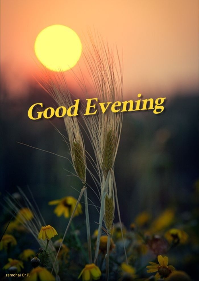 good evening images and wishes in hindi