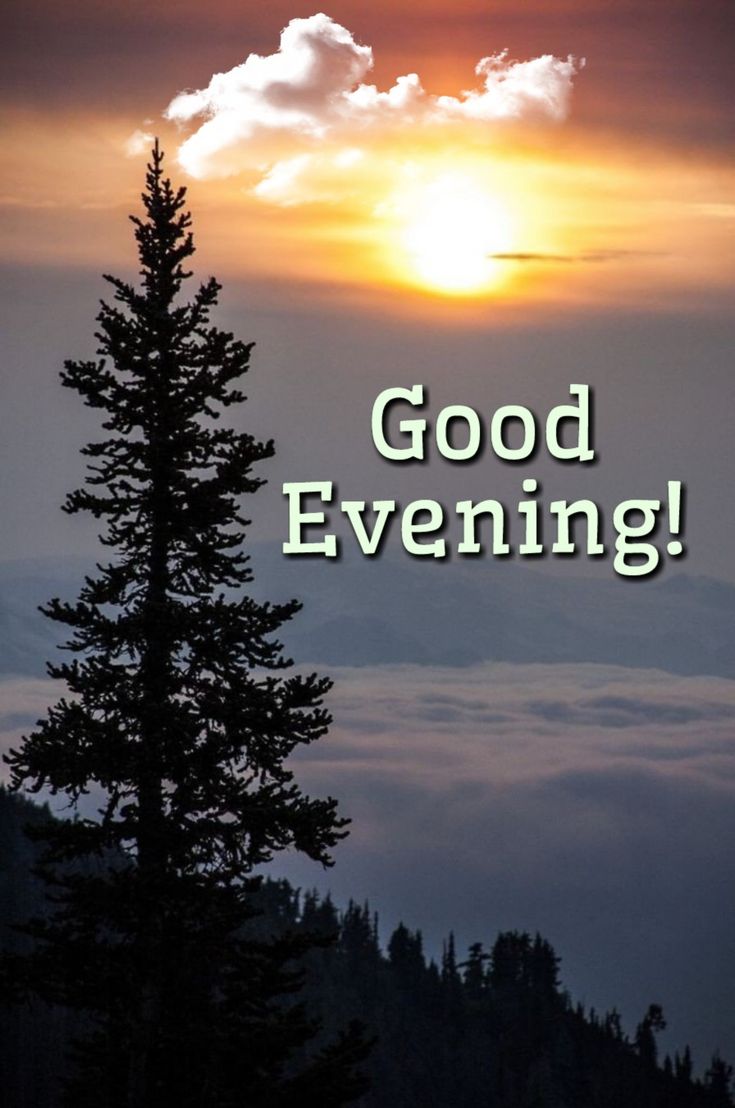 good evening images and wishes in hindi