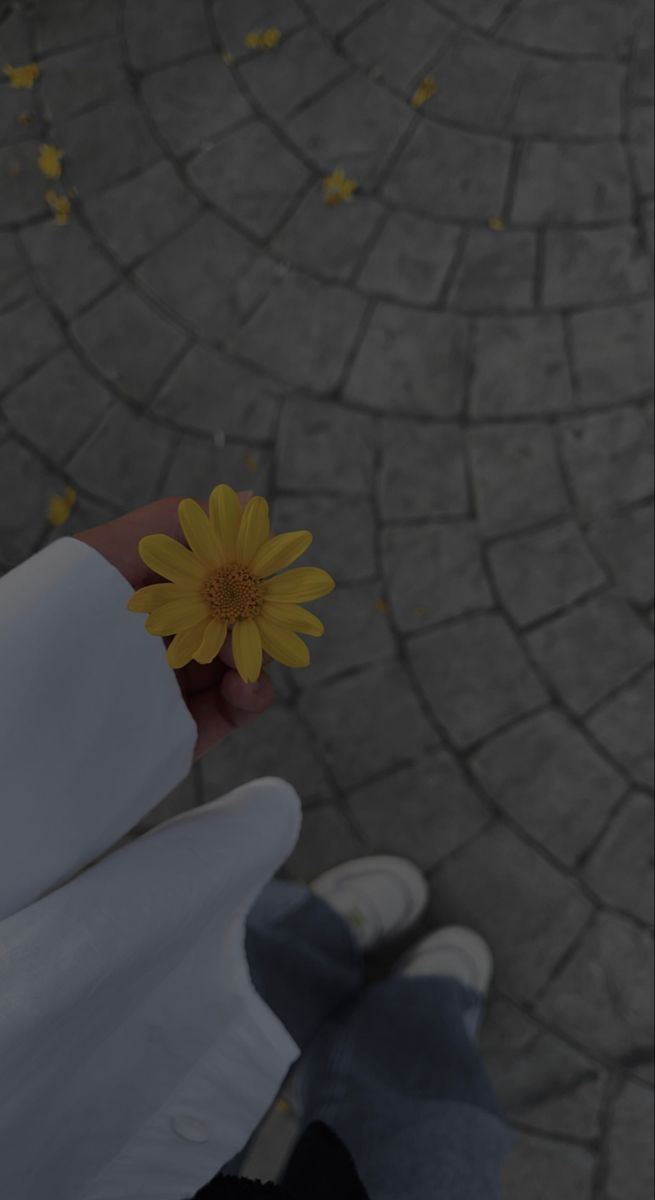 instagram dp for girls